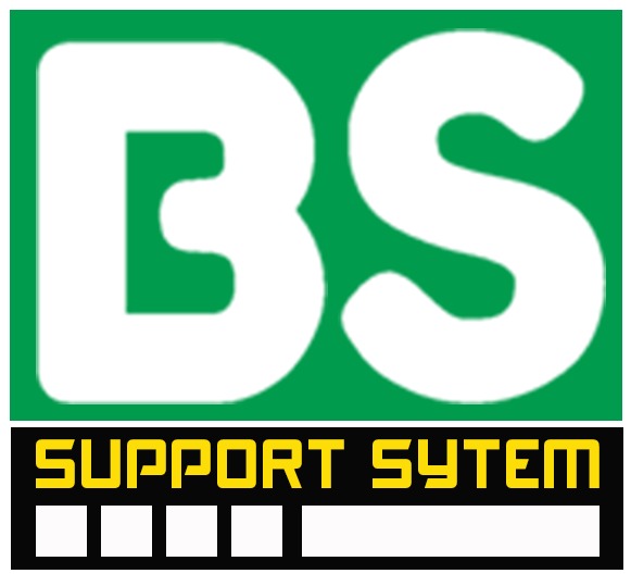 BSN Logo